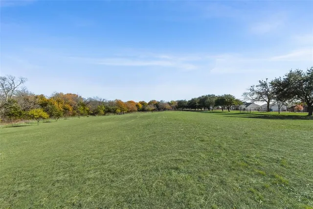 a view of a garden with trees