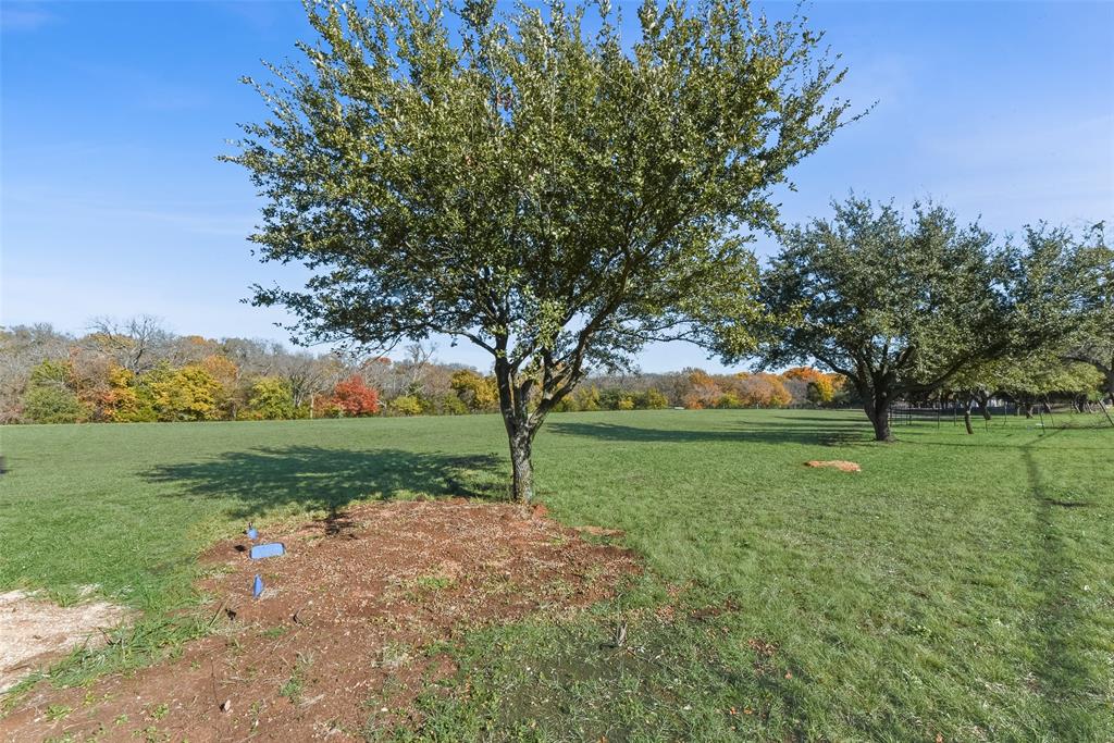 617 Cold Springs Road Van Alstyne, TX 75495 - Photo 18 of 20 a view of a garden with trees