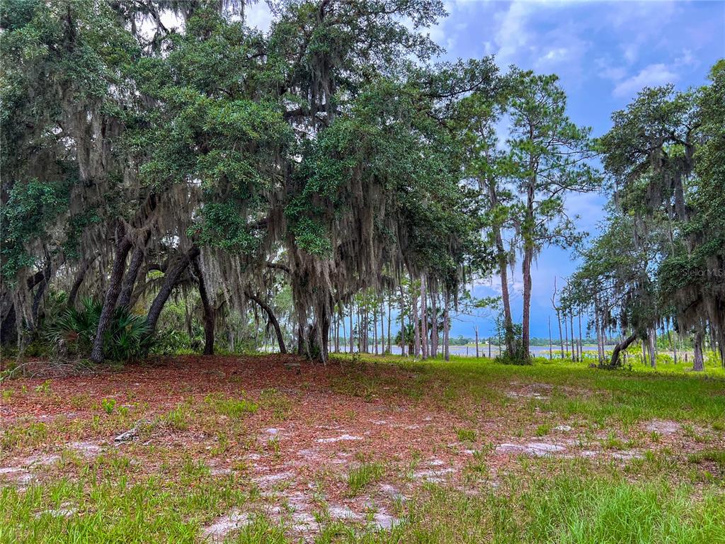 2332 Mitchell Island Road Deltona, FL 32738 - Photo 16 of 18
