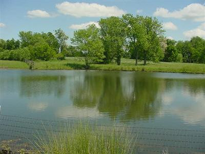 2795 Hume Bedford Road Georgetown, KY 40324 - Photo 11 of 20 One acre pond approx.