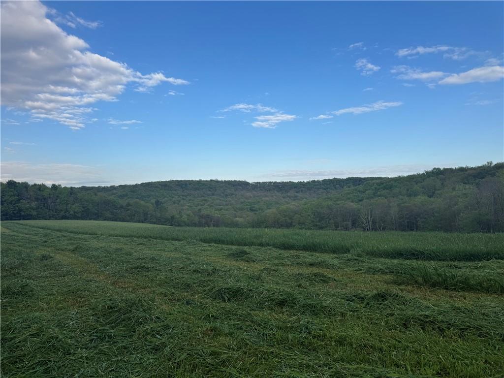 0 Grove Road Stoystown, PA 15563 - Photo 16 of 34