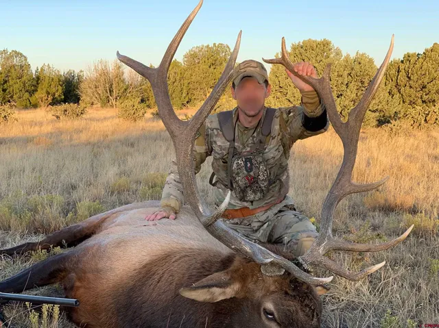 a view of a vase with fountain