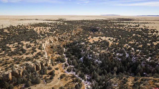 an aerial view of residential houses with city view