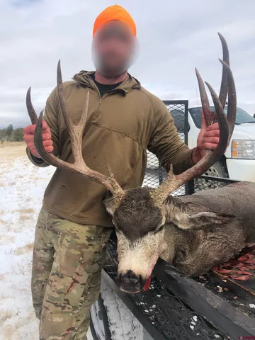 a view of outdoor space and seating