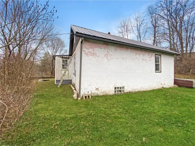 a view of a backyard with a large tree