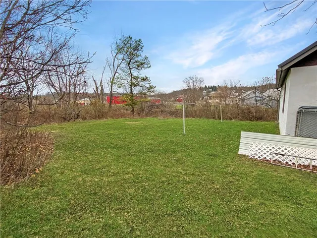 a view of a park with large trees