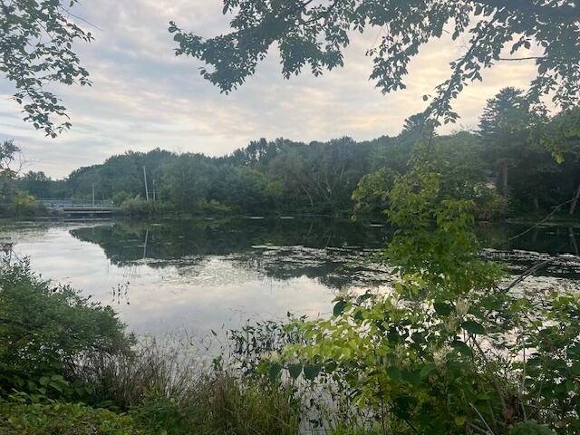 143 North Main Street Monmouth, ME 04265 - Photo 15 of 24 IMG_9134