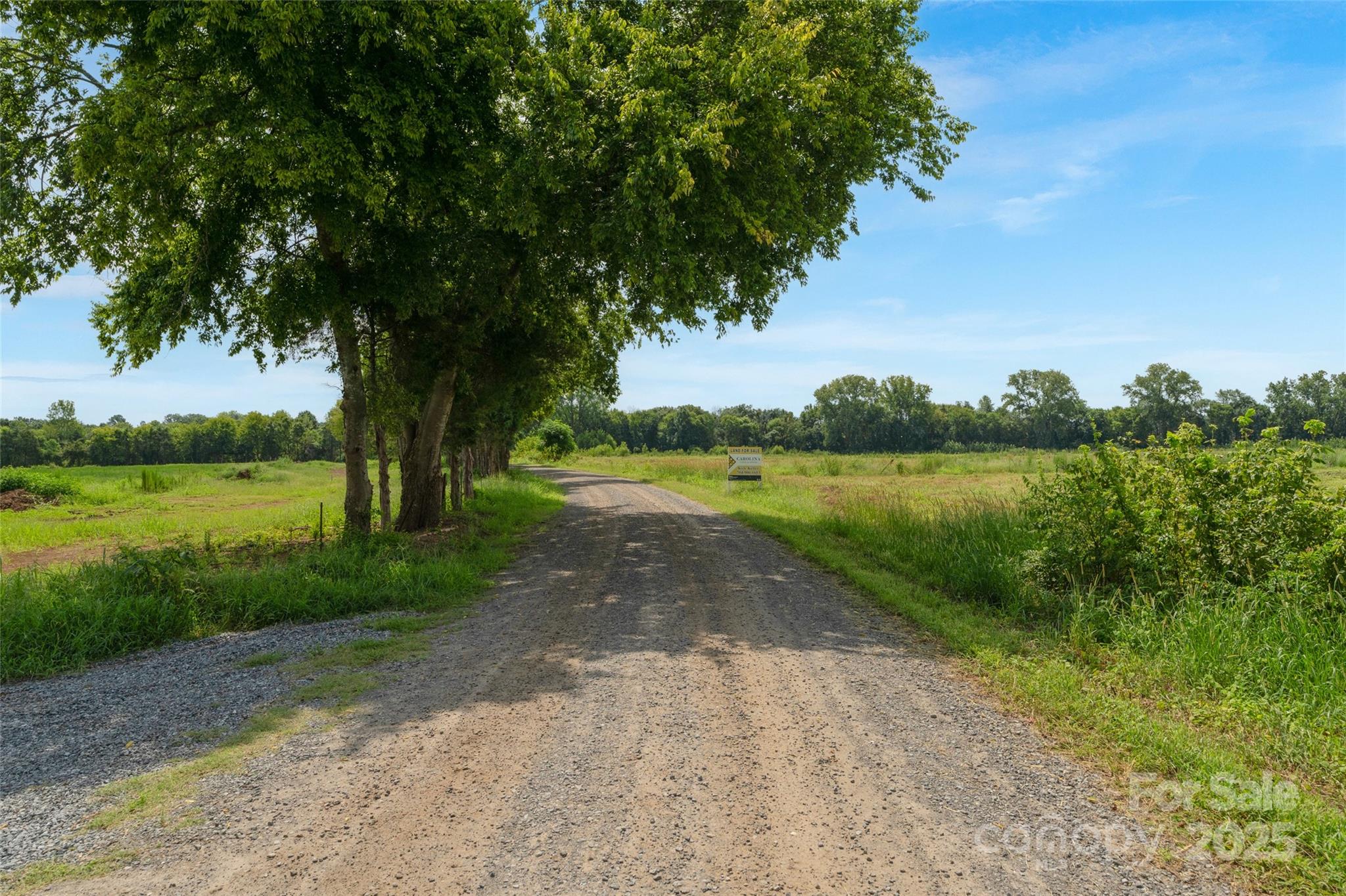 0 Milling Road, Unit 4 Rock Hill, SC 29730 - Photo 13 of 37 Gallery Image 13