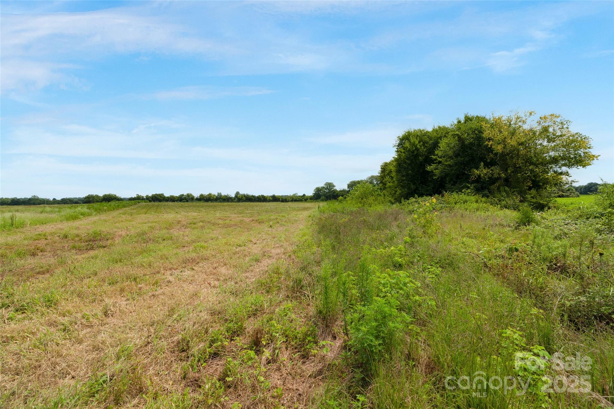 0 Milling Road, Unit 4 Rock Hill, SC 29730 - Photo 17 of 37 Gallery Image 17