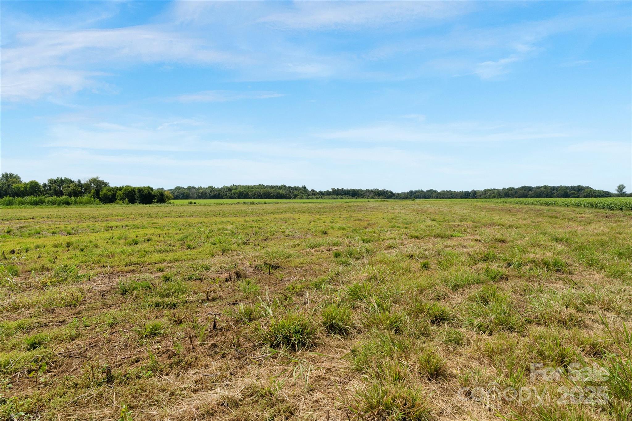 0 Milling Road, Unit 4 Rock Hill, SC 29730 - Photo 20 of 37 Gallery Image 20