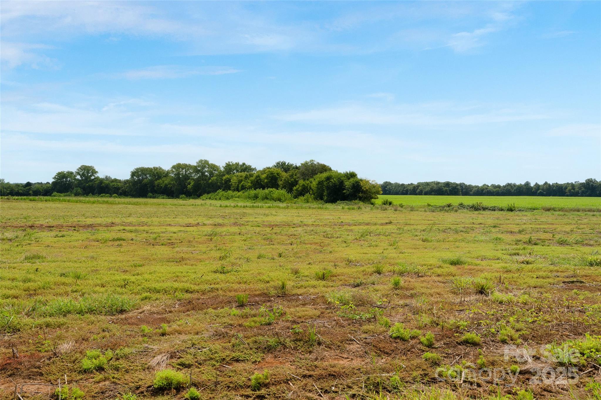0 Milling Road, Unit 4 Rock Hill, SC 29730 - Photo 30 of 37 Gallery Image 30