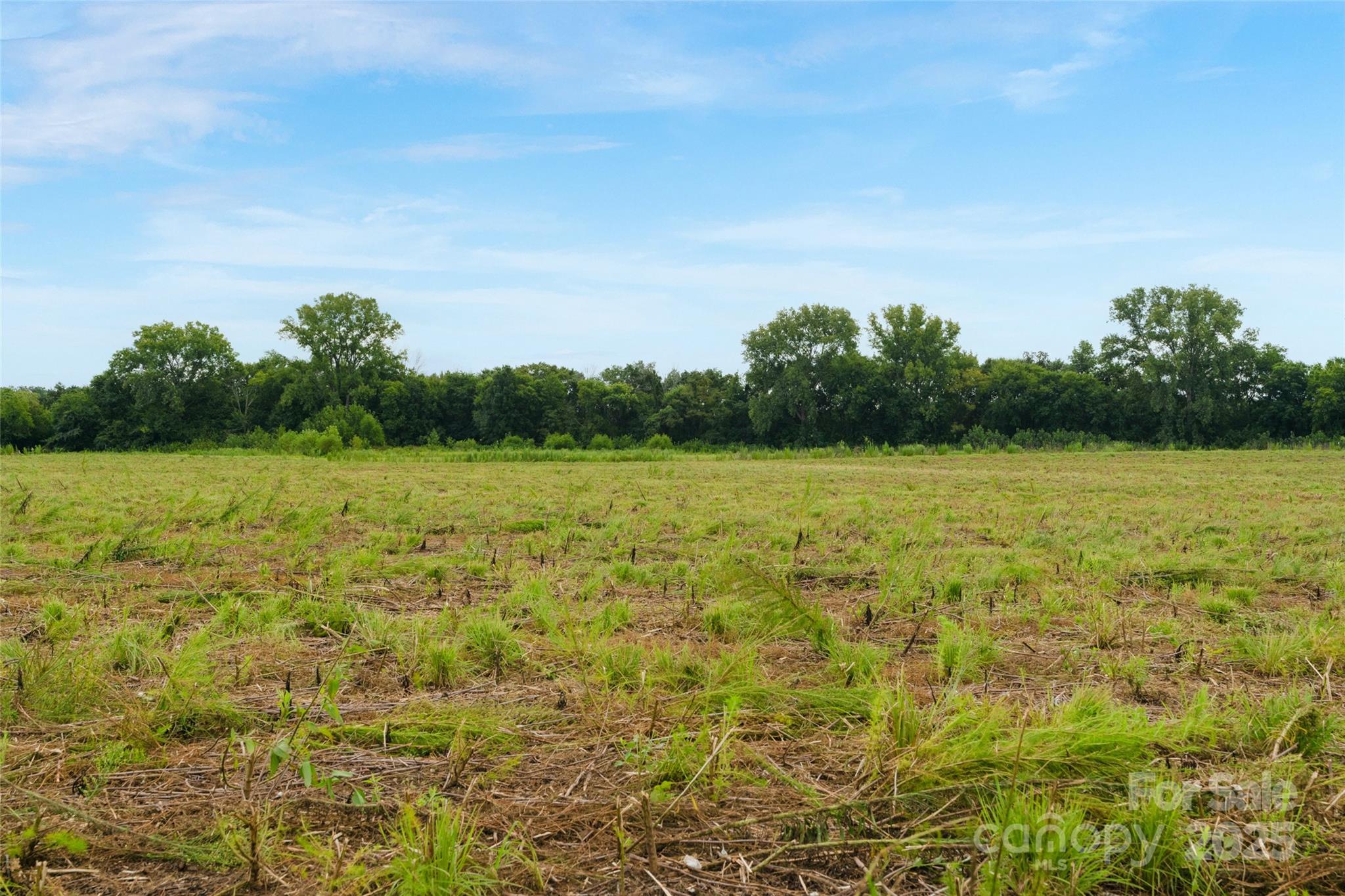 0 Milling Road, Unit 4 Rock Hill, SC 29730 - Photo 33 of 37 Gallery Image 33