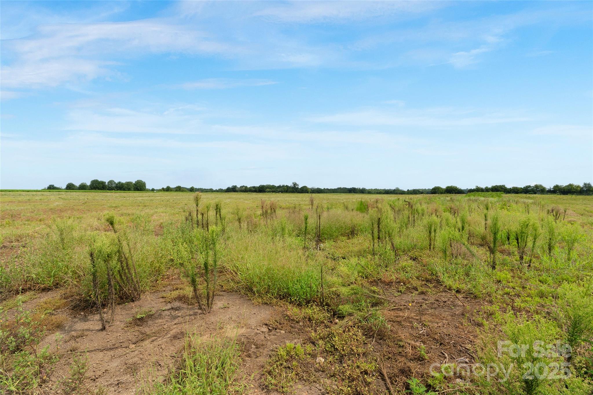0 Milling Road, Unit 4 Rock Hill, SC 29730 - Photo 34 of 37 Gallery Image 34