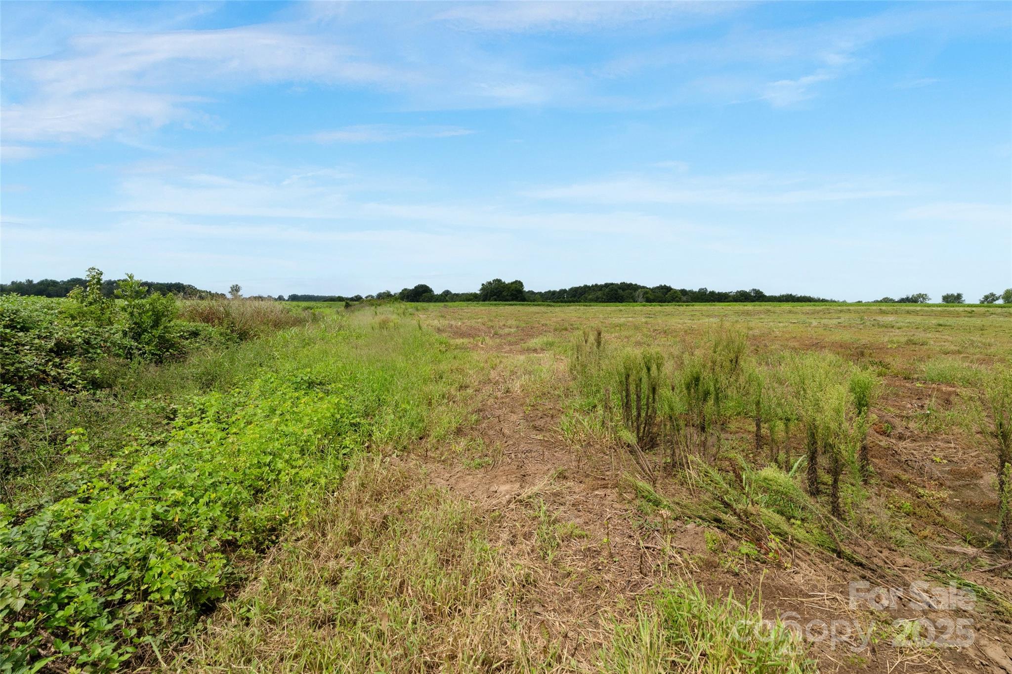 0 Milling Road, Unit 4 Rock Hill, SC 29730 - Photo 35 of 37 Gallery Image 35