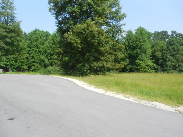 Denise Street Coats, NC 27521 - Photo 1 of 3 Photo 1