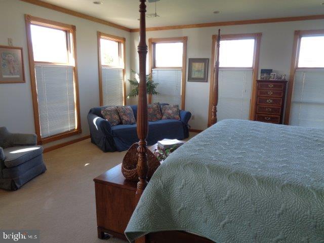 184 Goodyear Road Carlisle, PA 17015 - Photo 11 of 47 Gallery Image 11