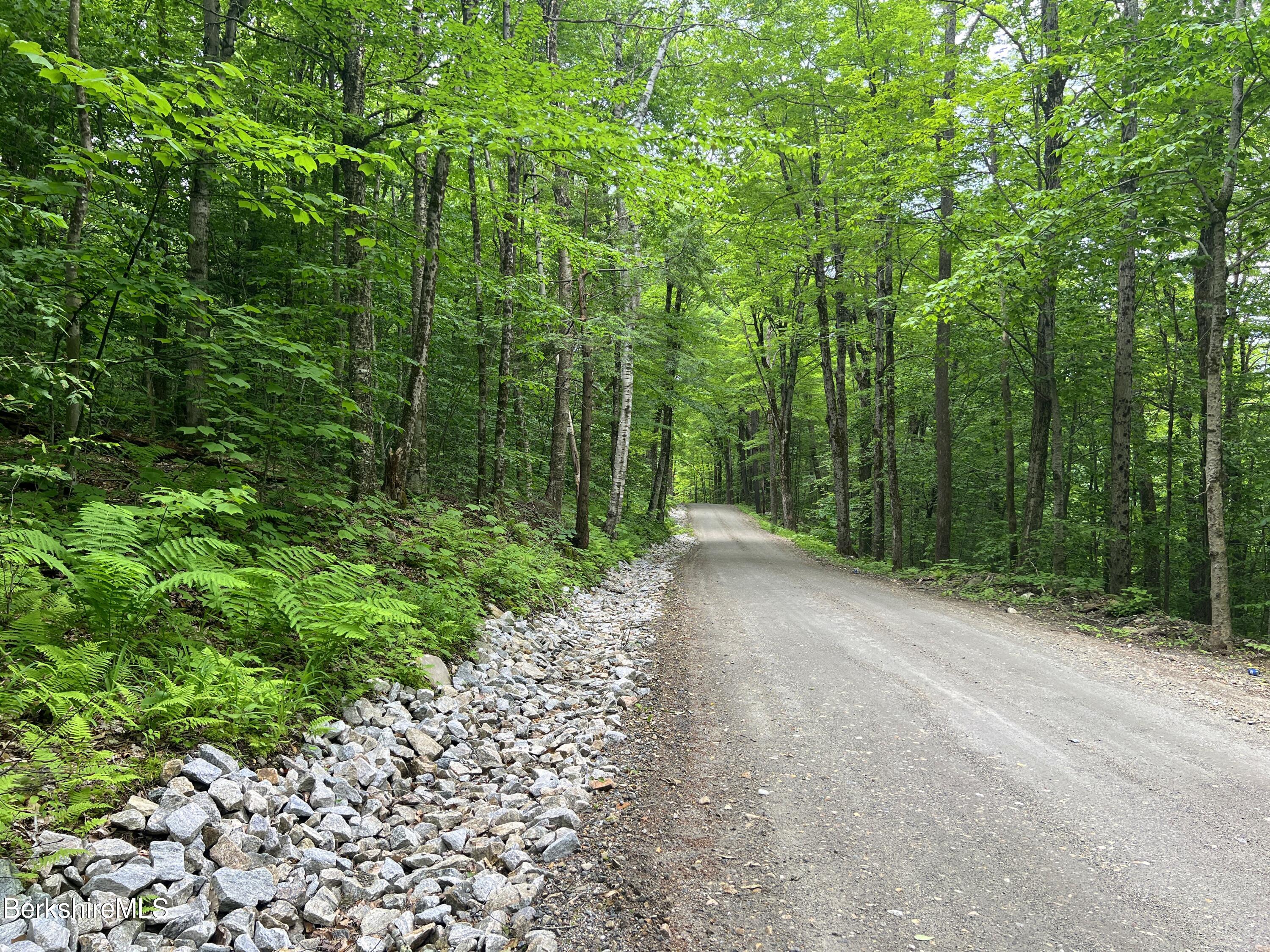 0 Hickingbotham Road Peru, MA 01235 - Photo 1 of 11 IMG_0131-001