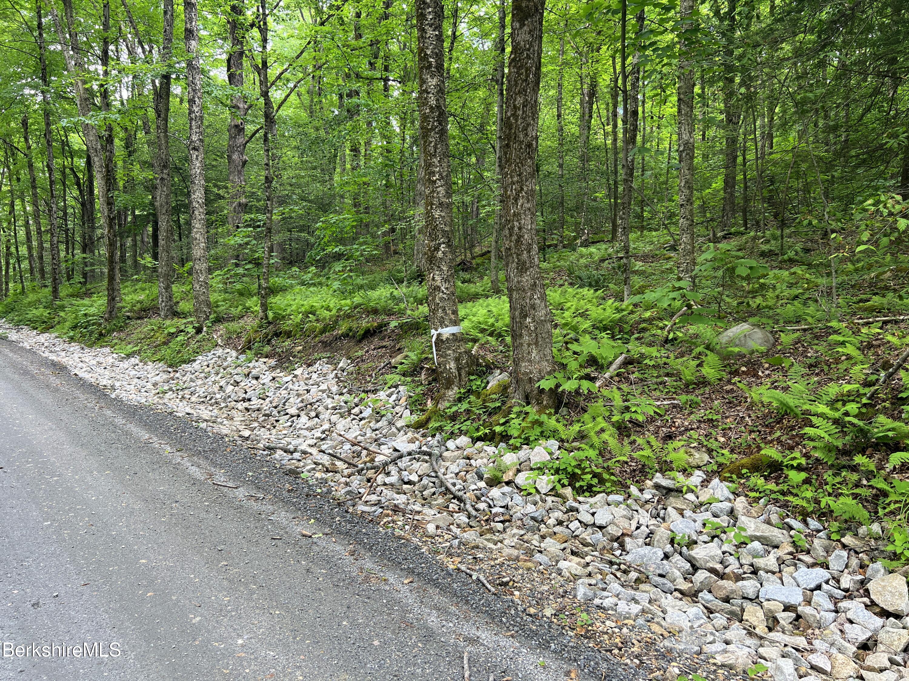 0 Hickingbotham Road Peru, MA 01235 - Photo 8 of 11 IMG_0133-001