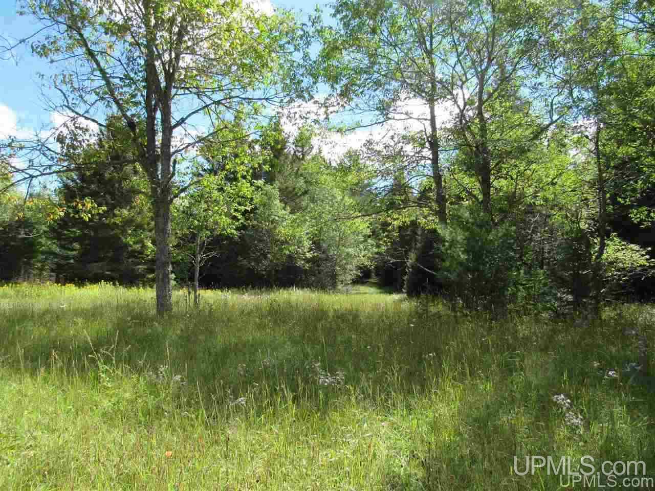 Tbd Tbd Off Stagecoach Road Michigamme, MI 49861 - Photo 26 of 37