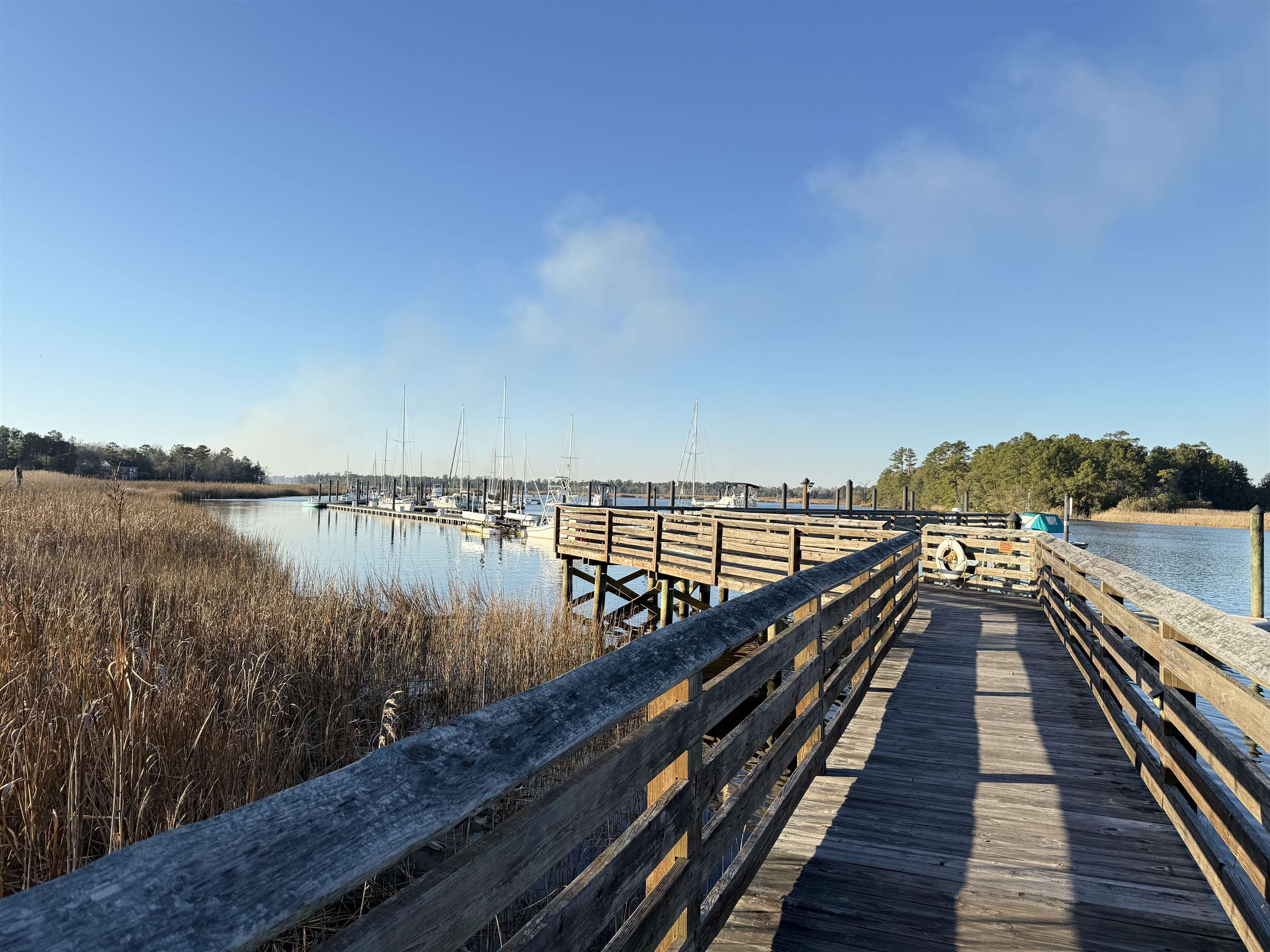 97 Madison Drive Georgetown, SC 29440 - Photo 4 of 7