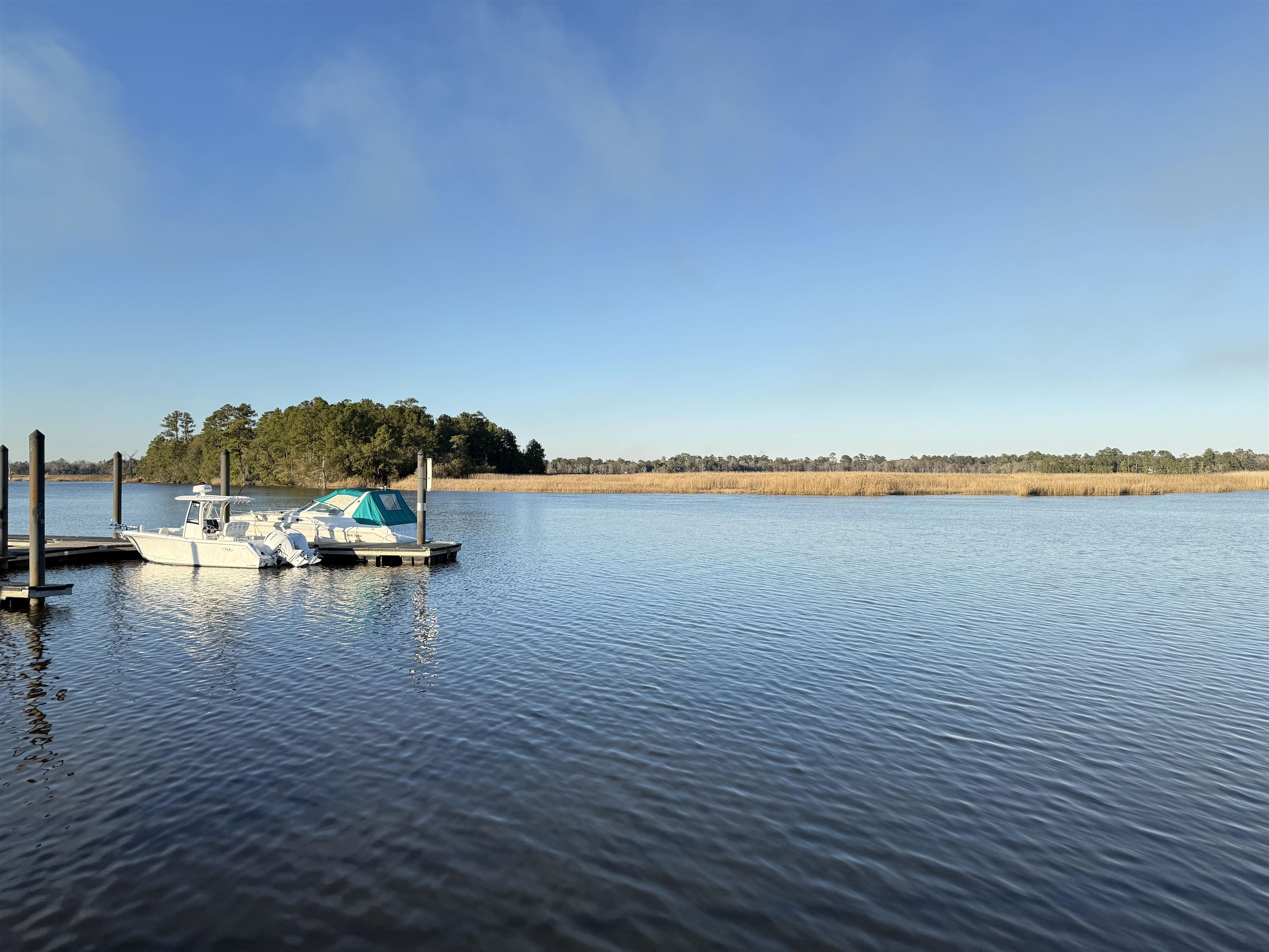 97 Madison Drive Georgetown, SC 29440 - Photo 6 of 7