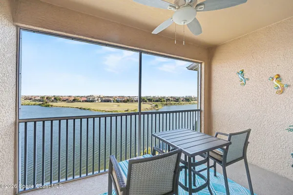 a view of a yard with plants