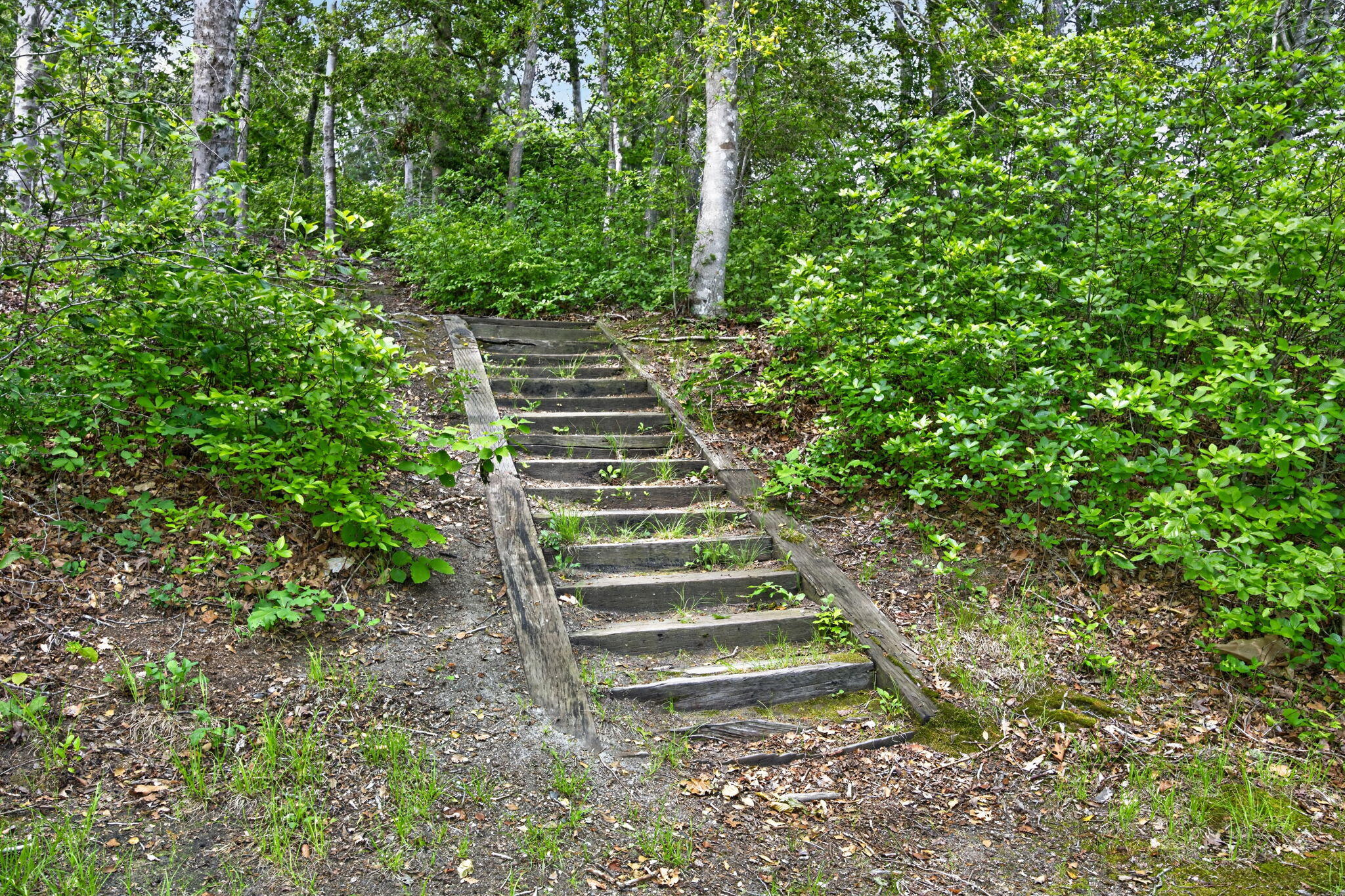 20 Hirsch Road Forestdale, MA 02644 - Photo 24 of 27 31-PF0A2484