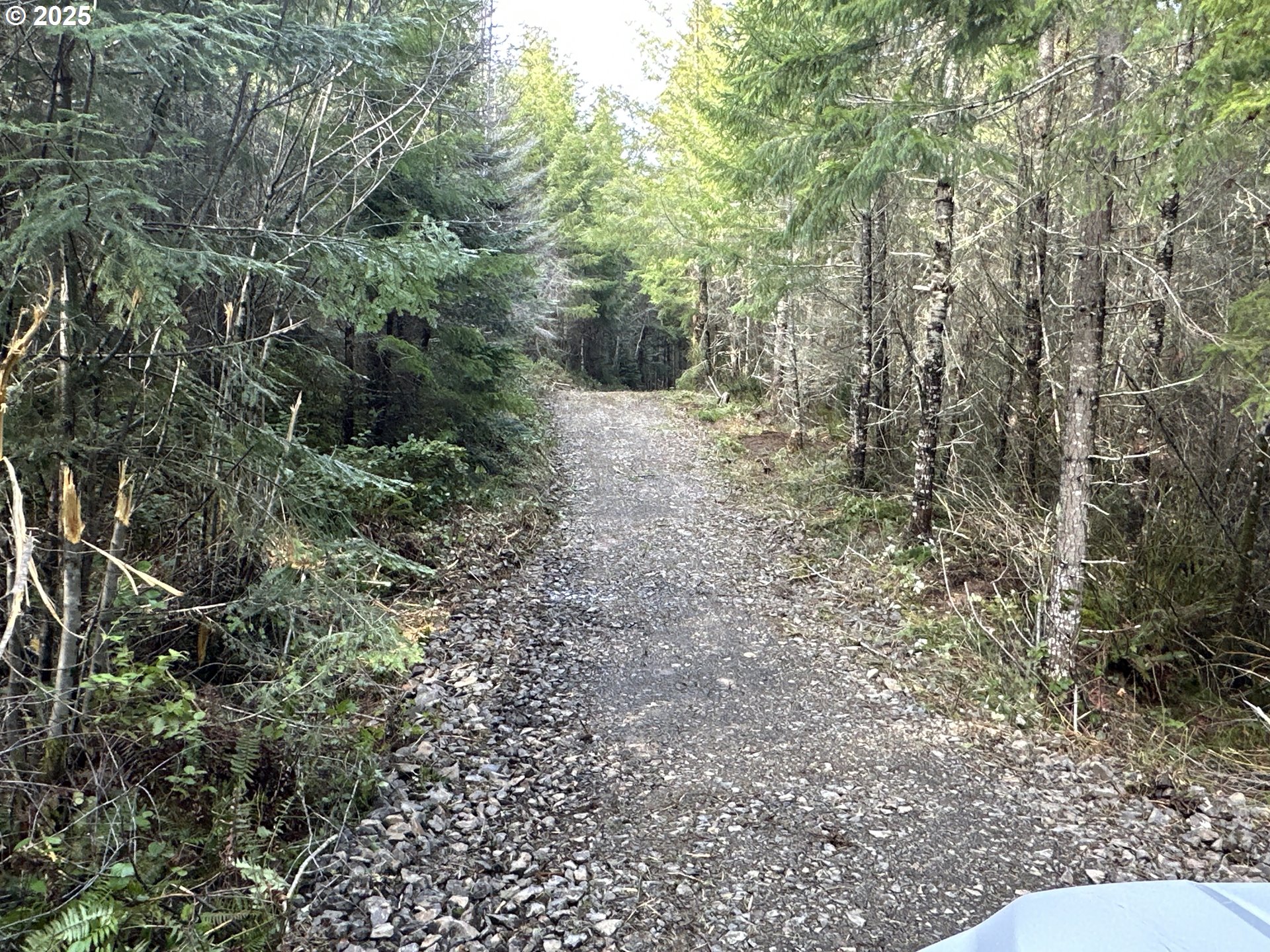 Wicks Road Dorena, OR 97434 - Photo 26 of 29 Gallery Image 26