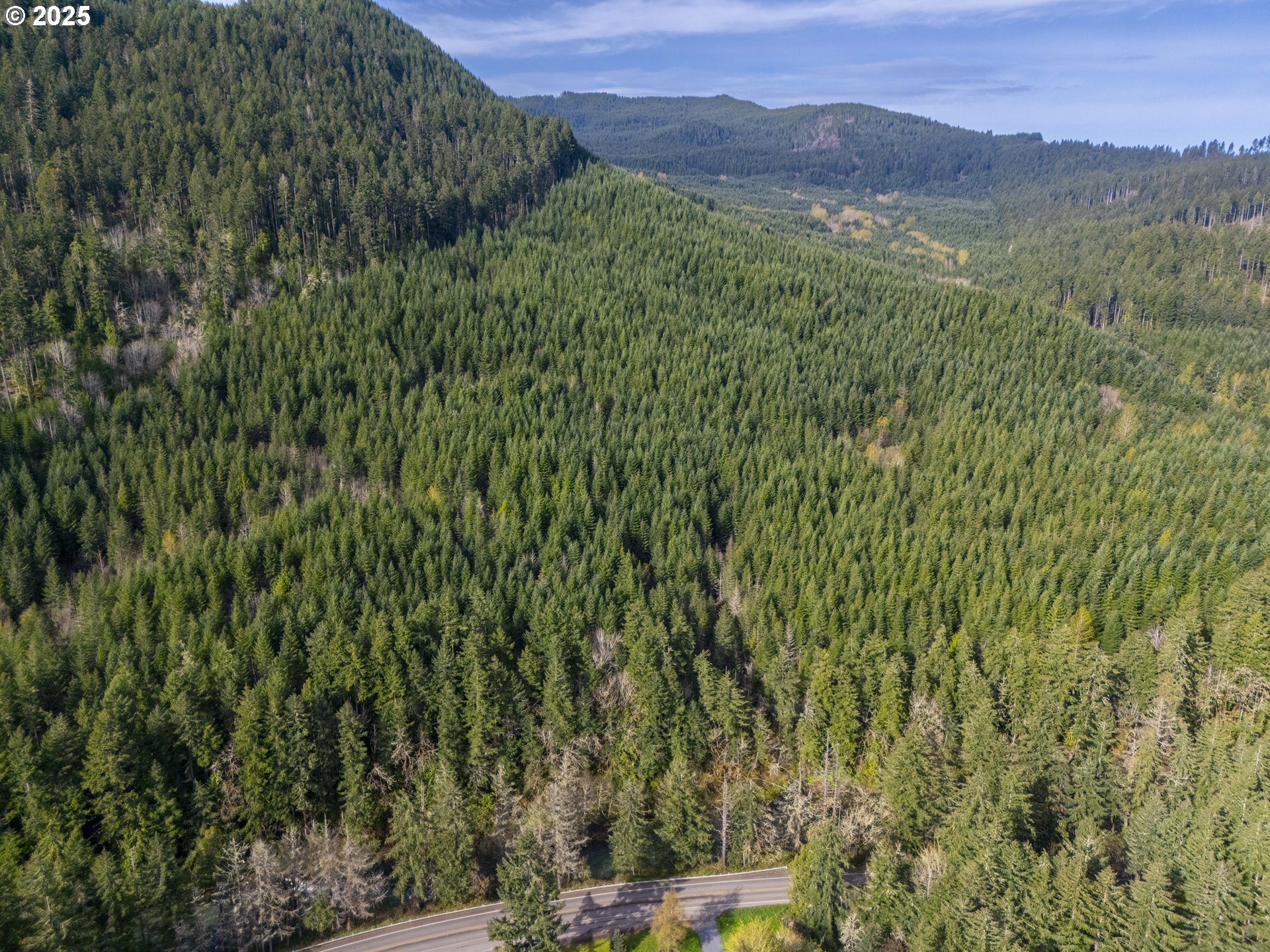 Wicks Road Dorena, OR 97434 - Photo 28 of 29 Gallery Image 28