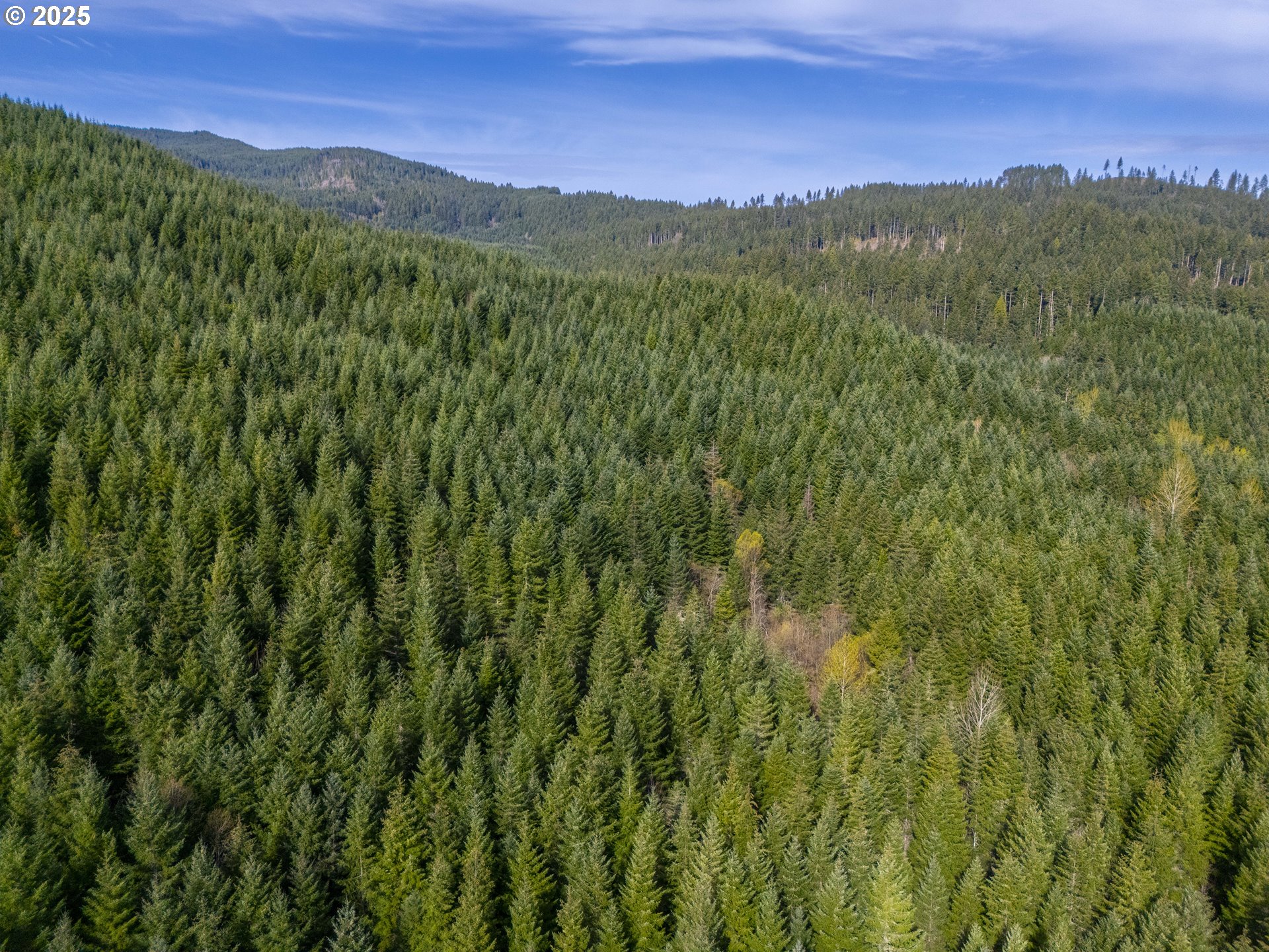Wicks Road Dorena, OR 97434 - Photo 29 of 29 Gallery Image 29
