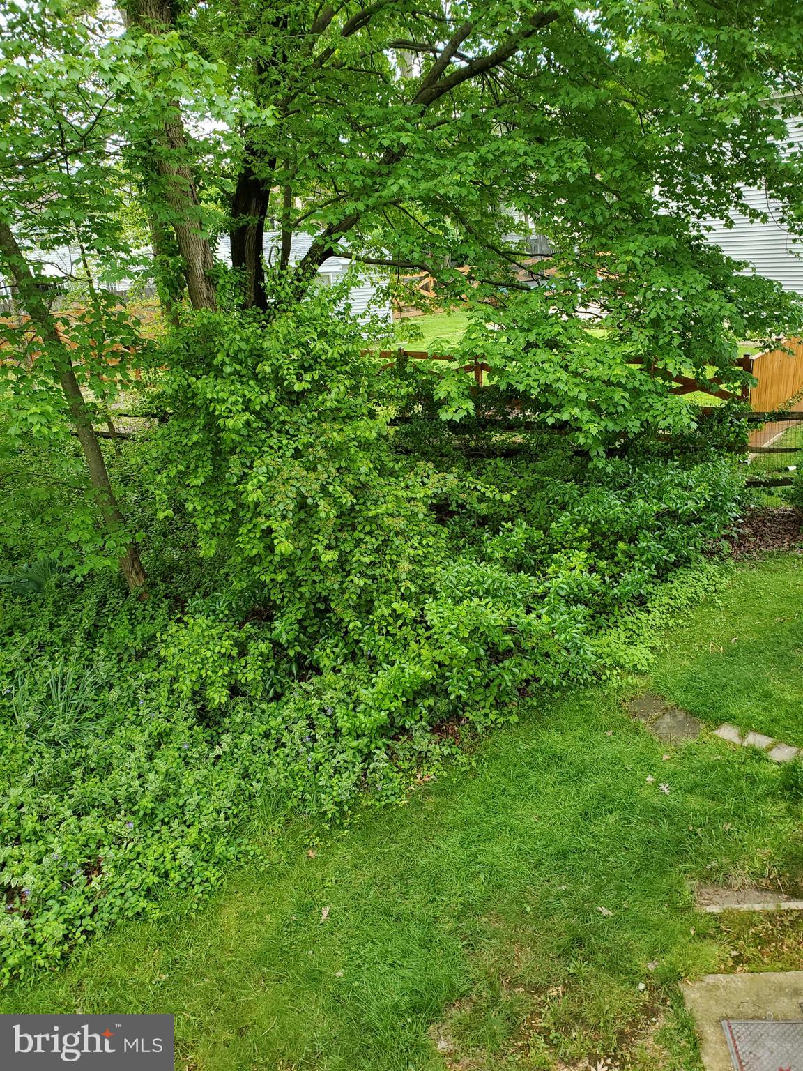 4549 Ambermill Road Baltimore, MD 21236 - Photo 6 of 46 Yard keeps on going