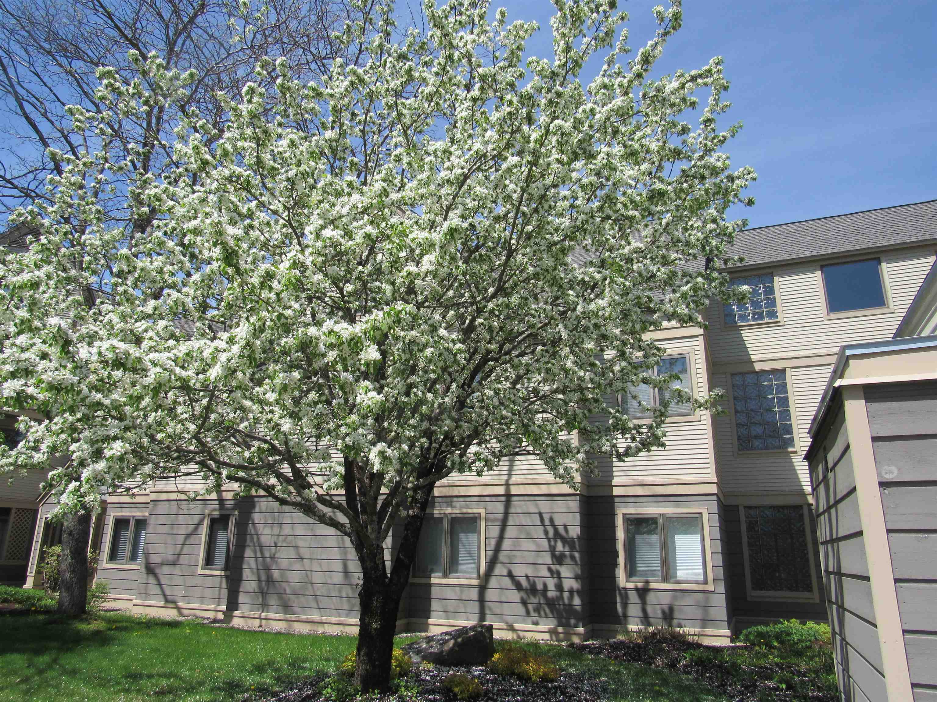 49 High Point Drive, Unit A122 Stratton, VT 05360 - Photo 43 of 45