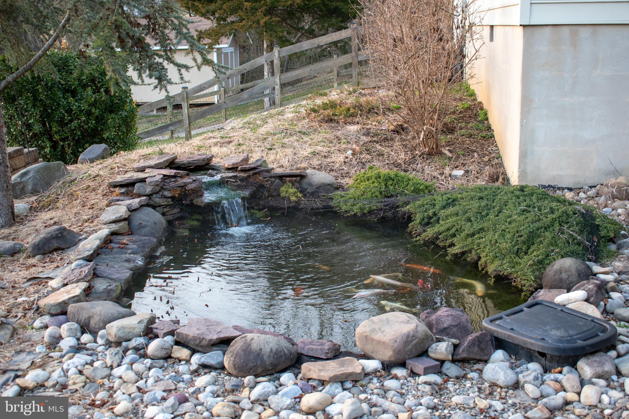 4507 Mt Carmel Road Hampstead, MD 21074 - Photo 49 of 60 Koi Pond