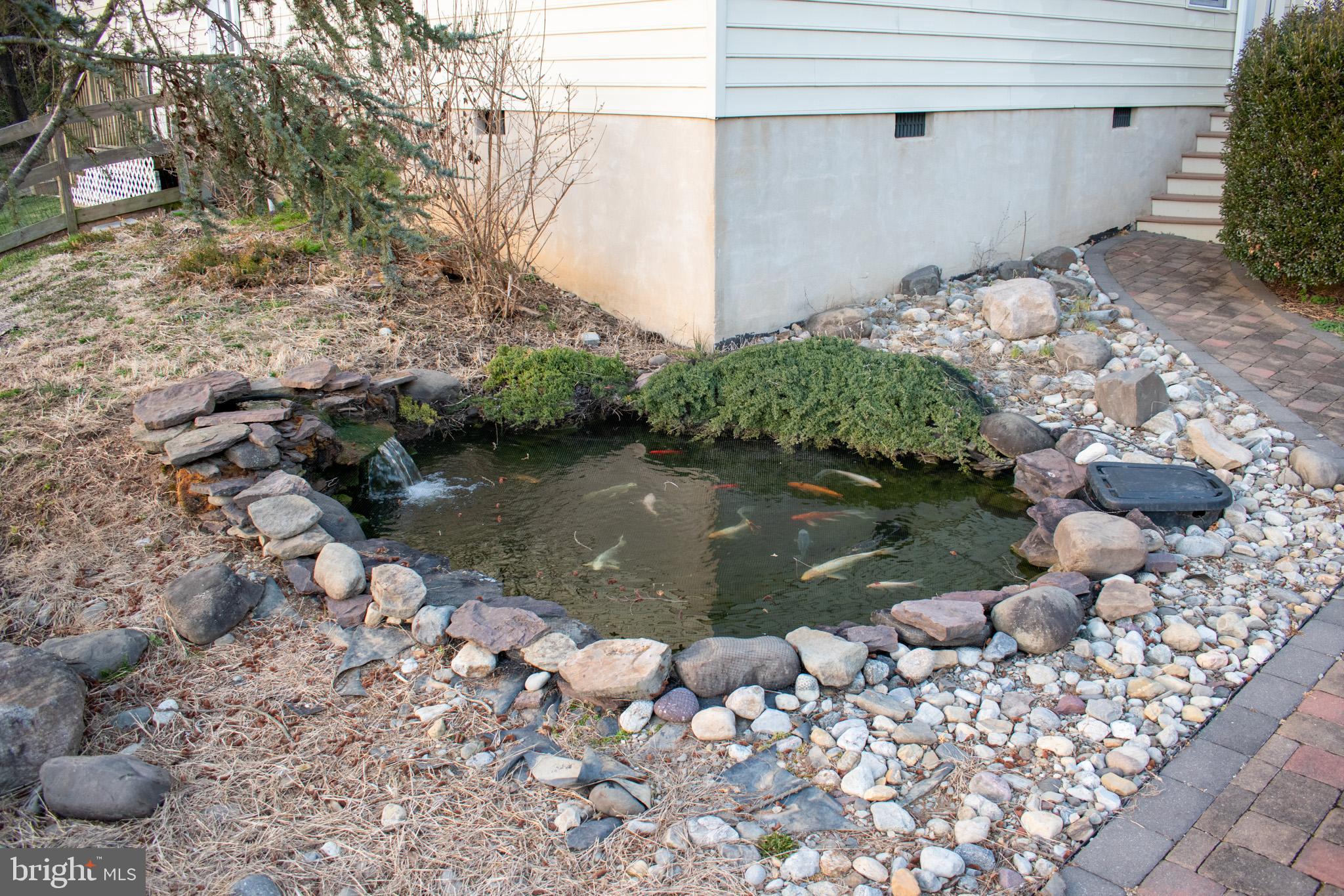 4507 Mt Carmel Road Hampstead, MD 21074 - Photo 59 of 60 Koi Pond