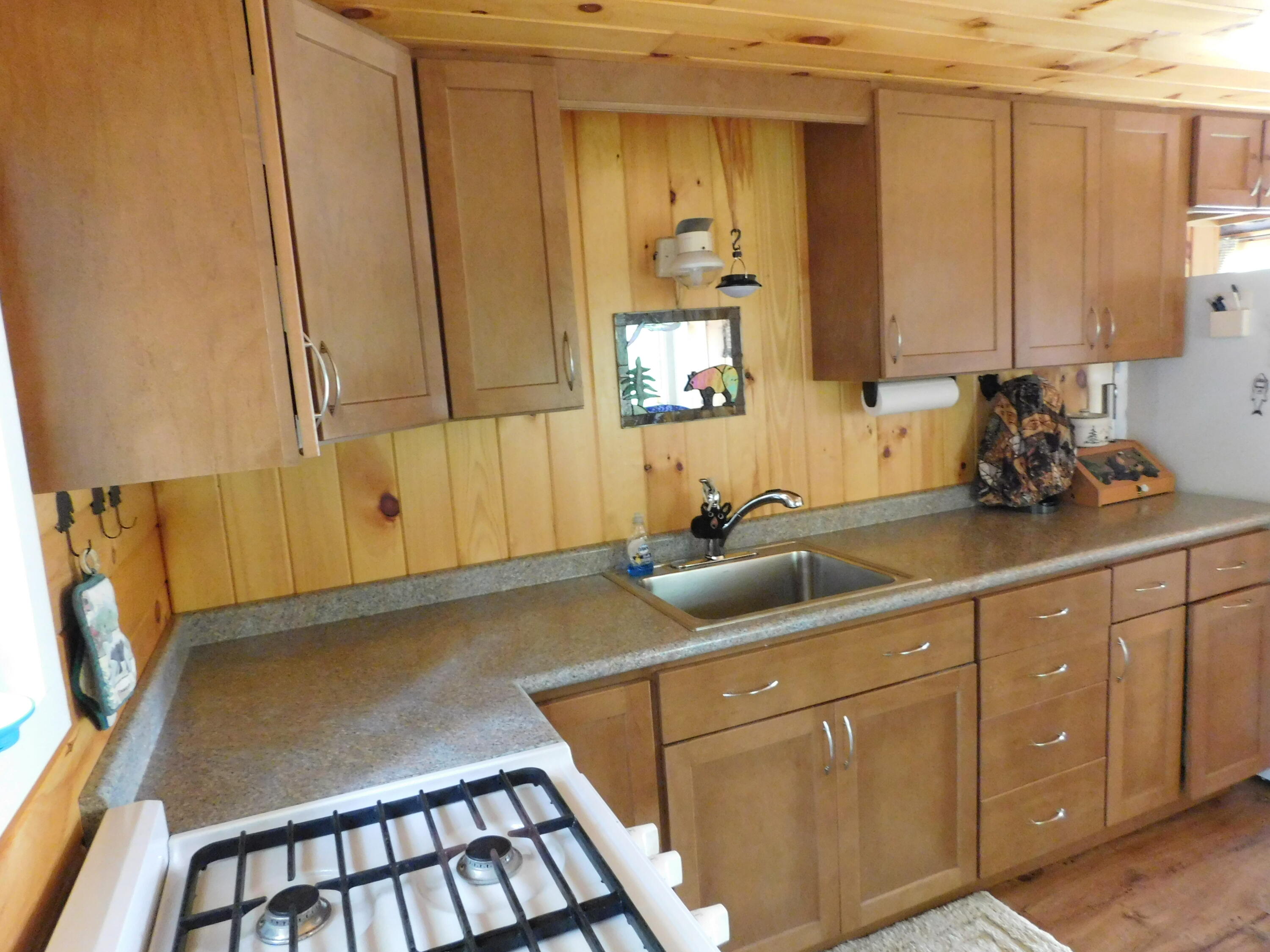 Lot 10 Lot Road Aurora, ME 04408 - Photo 39 of 53 DSCN8723