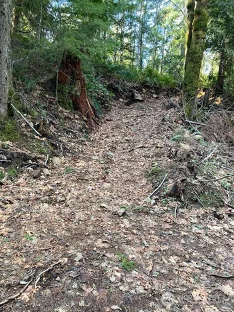 $49,900 | 0 North Dow Ridge Road, Hoodsport, WA 98548