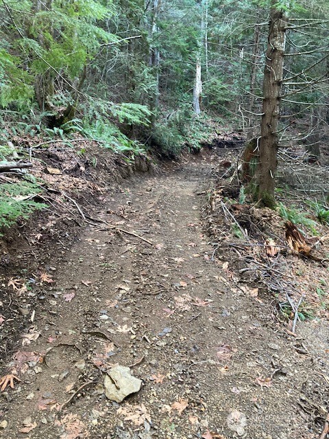 0 North Dow Ridge Road Hoodsport, WA 98548 - Photo 3 of 6