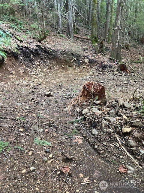 0 North Dow Ridge Road Hoodsport, WA 98548 - Photo 4 of 6