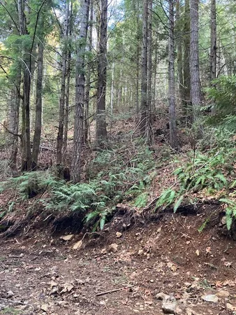 $49,900 | 0 North Dow Ridge Road, Hoodsport, WA 98548