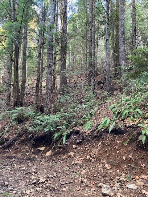 0 North Dow Ridge Road Hoodsport, WA 98548 - Photo 5 of 6