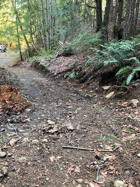 0 North Dow Ridge Road Hoodsport, WA 98548 - Photo 6 of 6