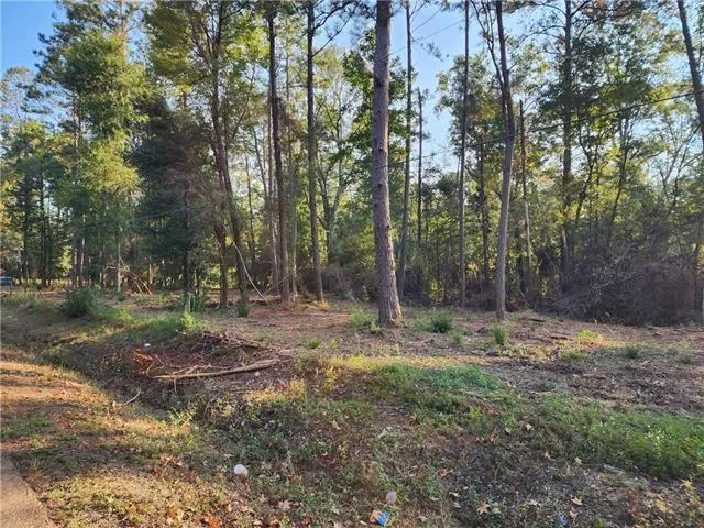 $39,500 | 1-b Old Uneedus Road, Loranger, LA 70446