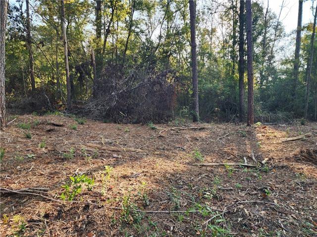 1-b Old Uneedus Road Folsom, LA 70437 - Photo 2 of 2