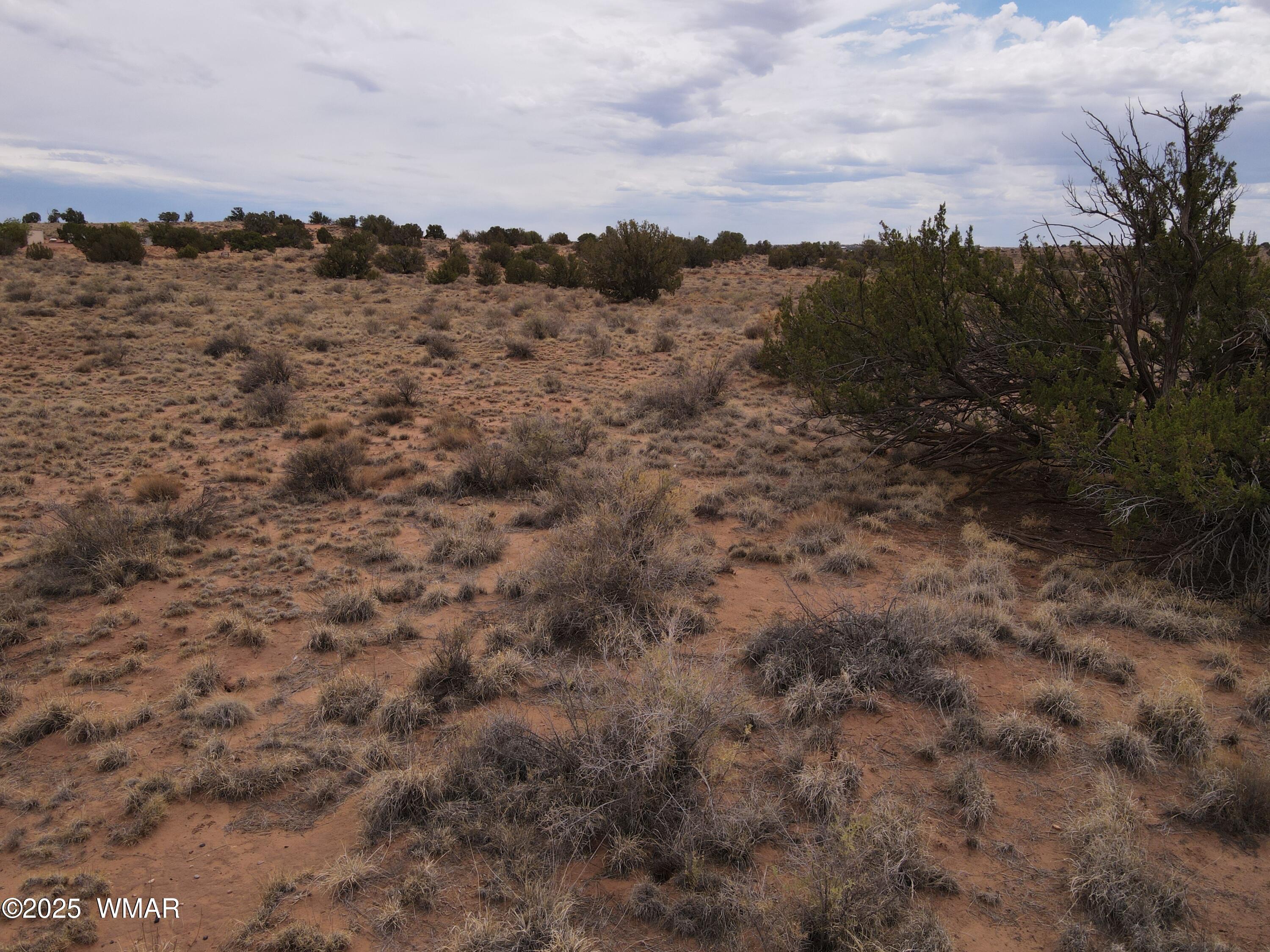 5473 White Antelope Road Snowflake, AZ 85937 - Photo 12 of 15