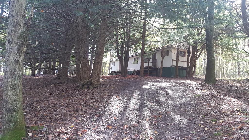 261 Bair Road Tionesta, PA 16353 - Photo 1 of 10