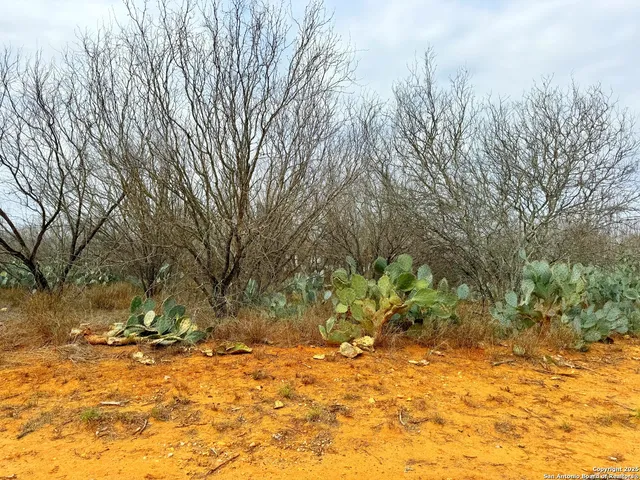 $10,900 | Tbd Old Hwy 81, Moore, TX 78057