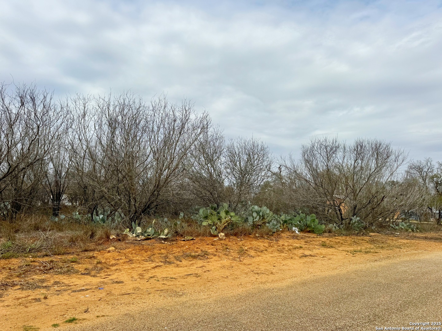 Tbd Old Hwy 81 Moore, TX 78057 - Photo 7 of 7