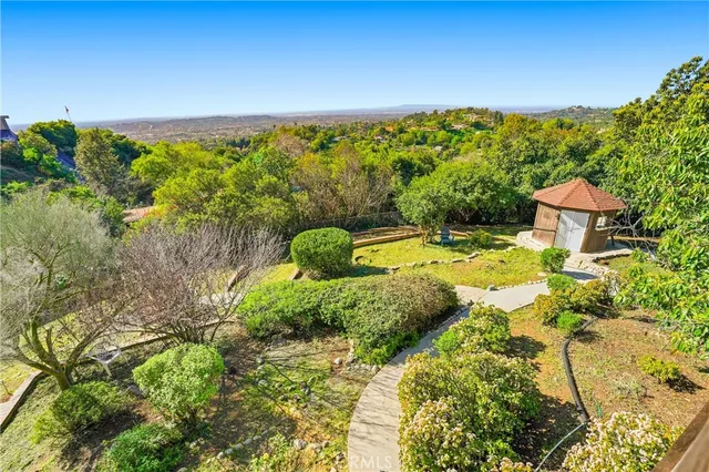a view of a backyard