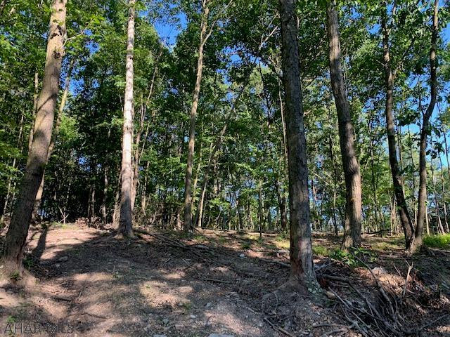 1009 A Six Mile Run Road Six Mile Run, PA 16679 - Photo 29 of 47 Gallery Image 29