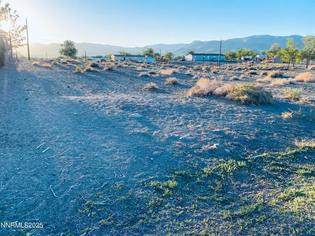 a view of a parking space with lots of trees